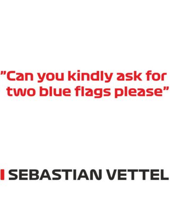 Sebastian Vettel - Kubek z napisem "Can you kindly ask for two blue flags..."