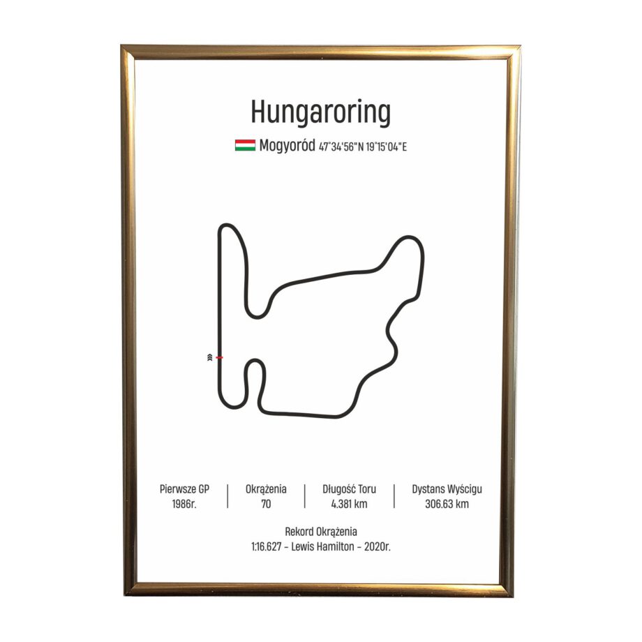 Obraz F1 Race Track - Hungaroring