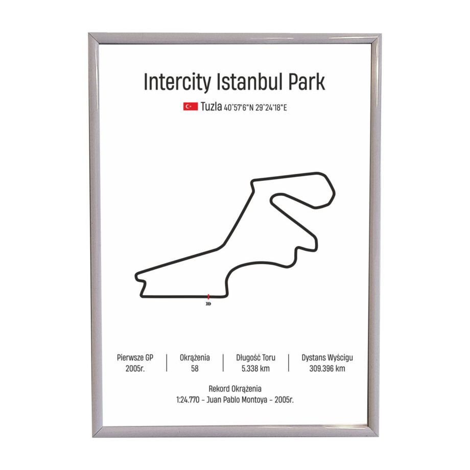 Obraz F1 Race Track - Istanbul