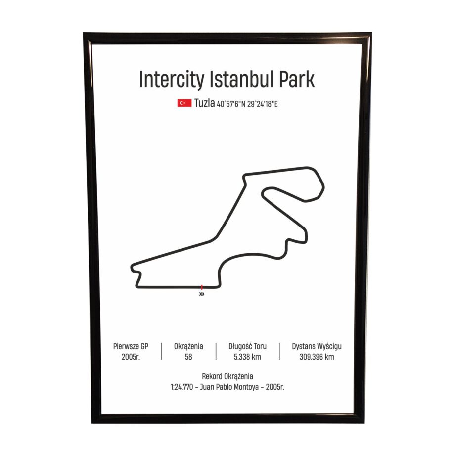 Obraz F1 Race Track - Istanbul