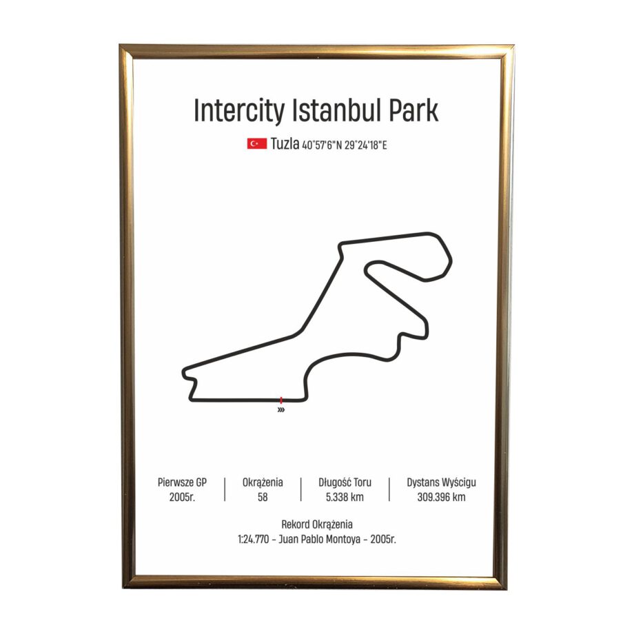 Obraz F1 Race Track - Istanbul